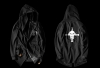 One Piece Edward Newgate Long Hoodie Black Mens Hooded Sweatshirt