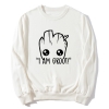 <p>Personlig jacka The Avengers Sweatshirt</p>
