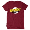 Sheldon The Flash Bazinga T-shirt Big Bang Theory Tee