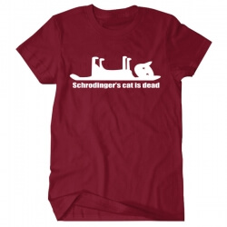 Big Bang Theory Tee Schrodinger của mèo là chết T-shirt